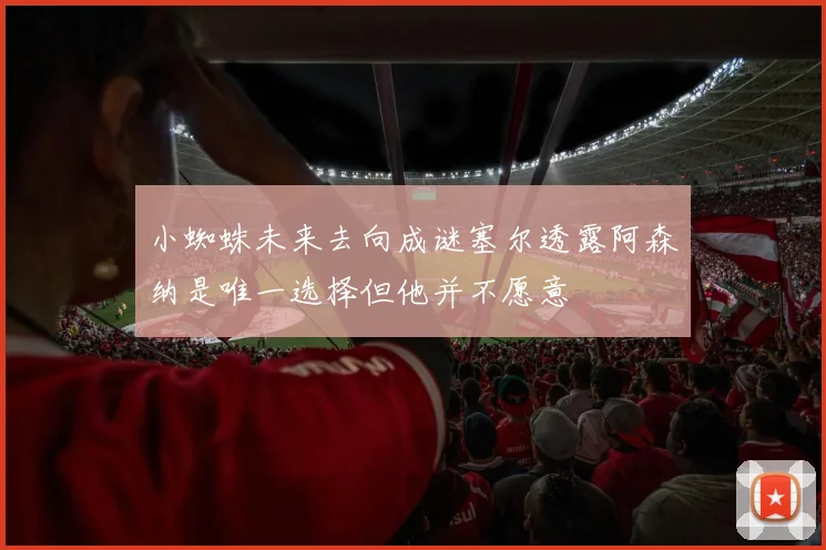 小蜘蛛未来去向成谜塞尔透露阿森纳是唯一选择但他并不愿意