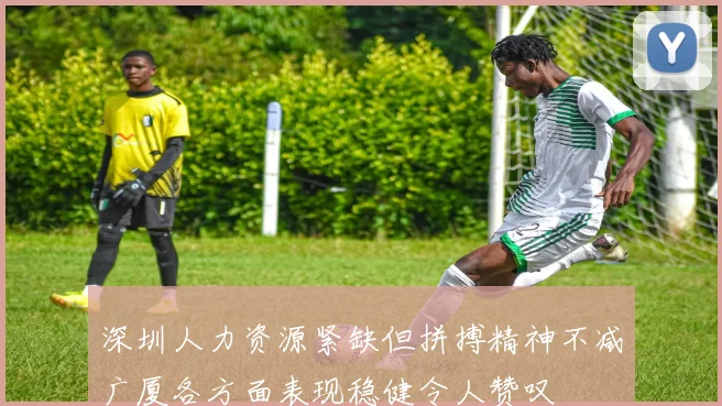 深圳人力资源紧缺但拼搏精神不减广厦各方面表现稳健令人赞叹